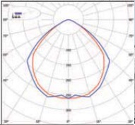  ������ ���� �����